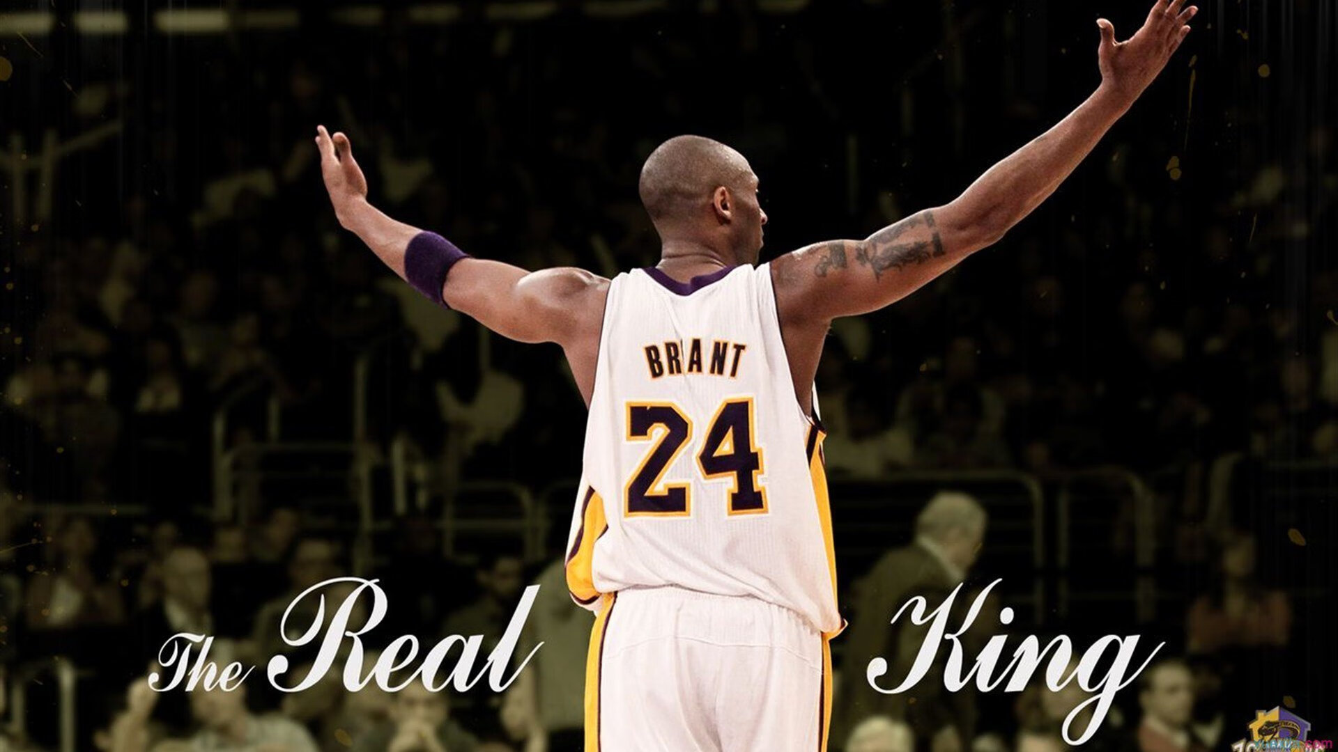 “主场优势：本赛季主场战绩分析”，季前赛场数